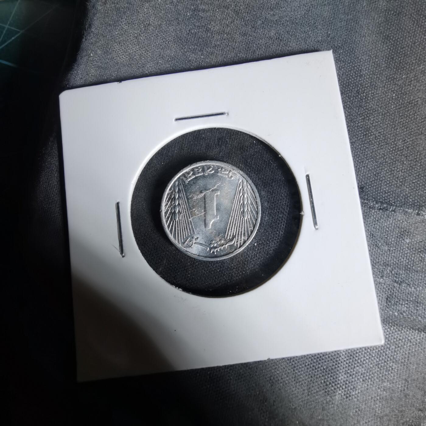 沼泽如烟--第1017场