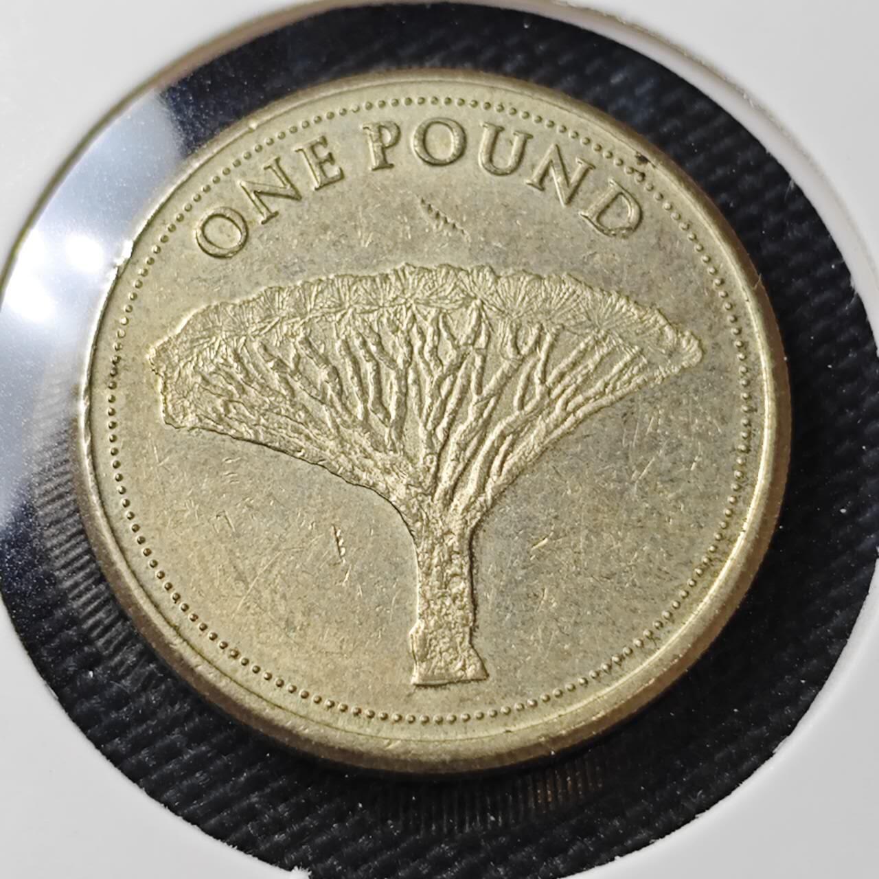 KK钱币收藏小铺   第405期 2月预留时间 周末发货