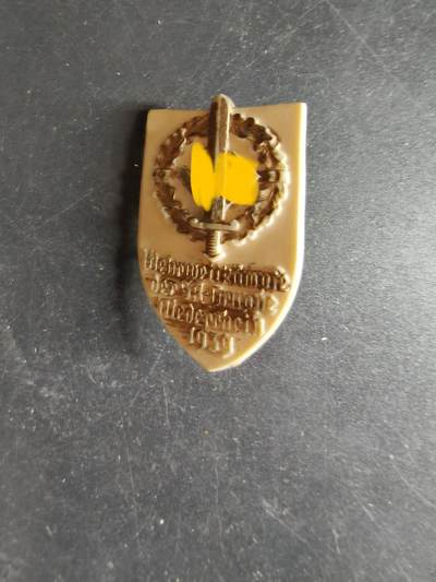 老王徽章第186期 - 德三1939年下莱茵地区SA证章