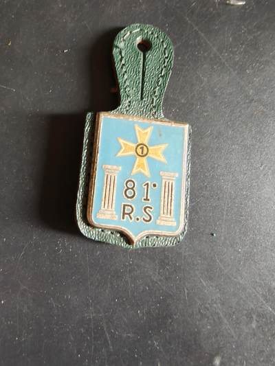 老王徽章第186期 - 意大利陆军第81步兵团证章