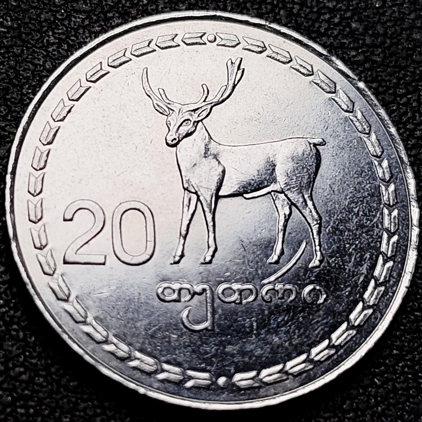 泉币菌-第207场-拍品多 请提前出价 。