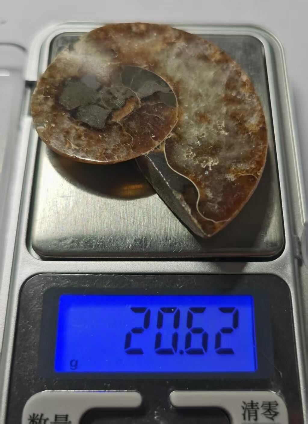 七河·藏家水晶矿标化石小拍（总第41期）