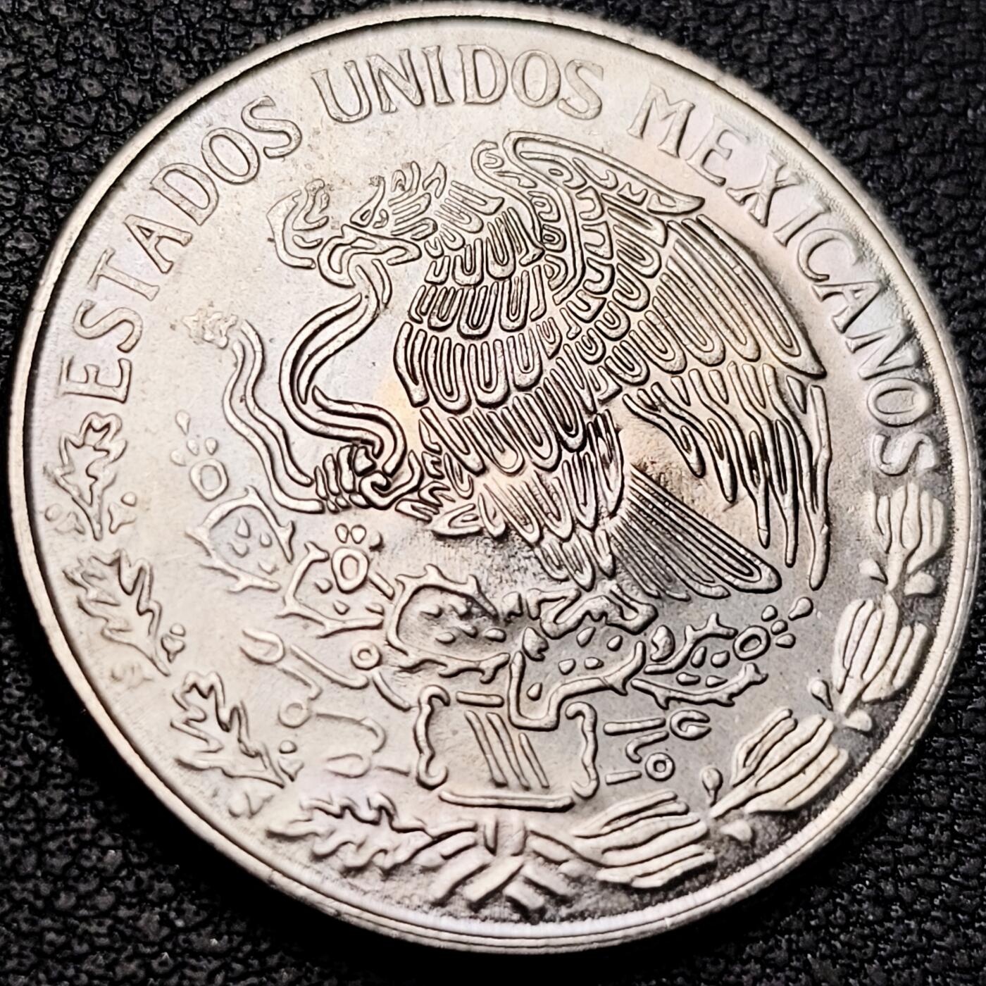 泉币菌-第207场-拍品多 请提前出价 。