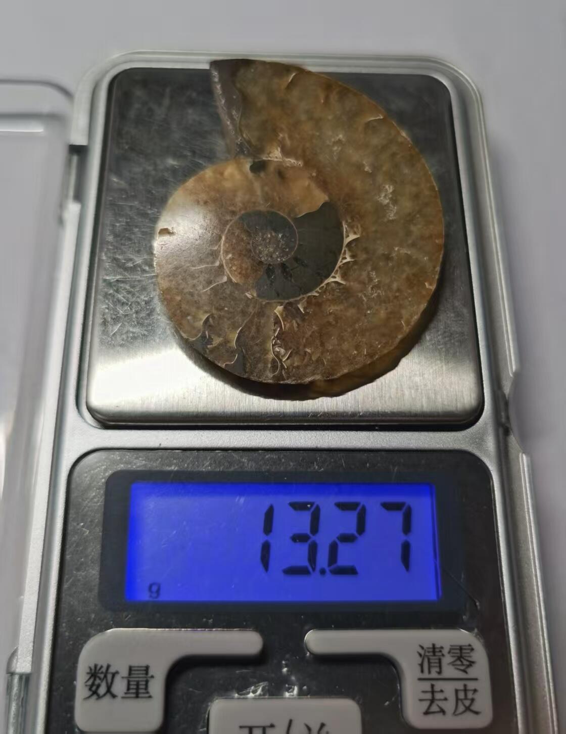 七河·藏家水晶矿标化石小拍（总第41期） 藏家出品 X773（4）马达加斯加中生代菊石化石切片一件 