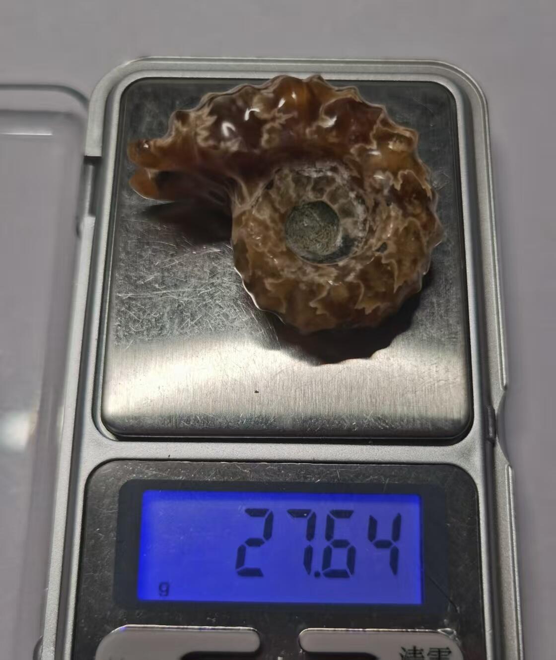 七河·藏家水晶矿标化石小拍（总第41期） 藏家出品 X792（17）马达加斯加中生代白垩纪羊角螺菊石化石