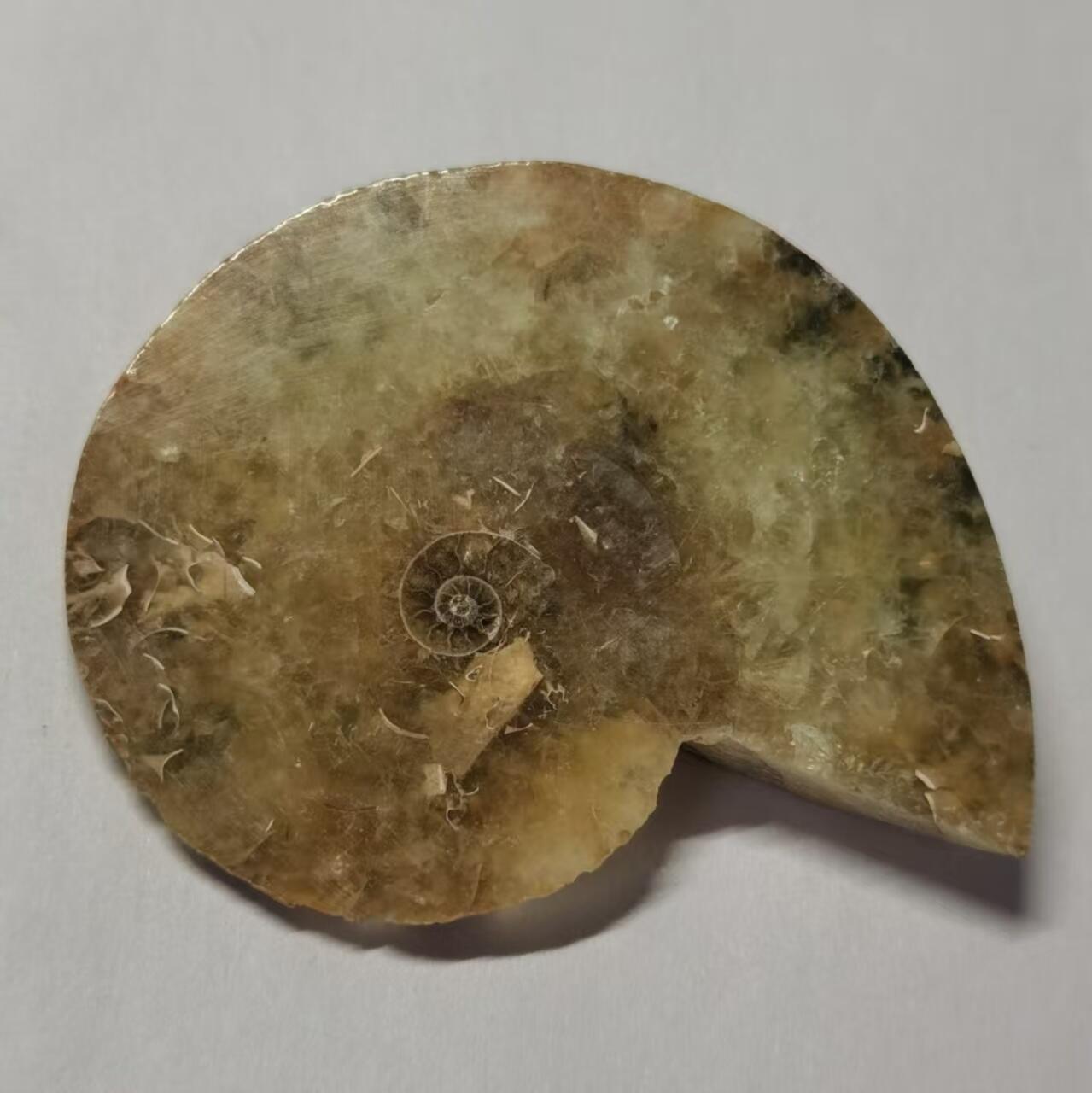 七河·藏家水晶矿标化石小拍（总第41期）