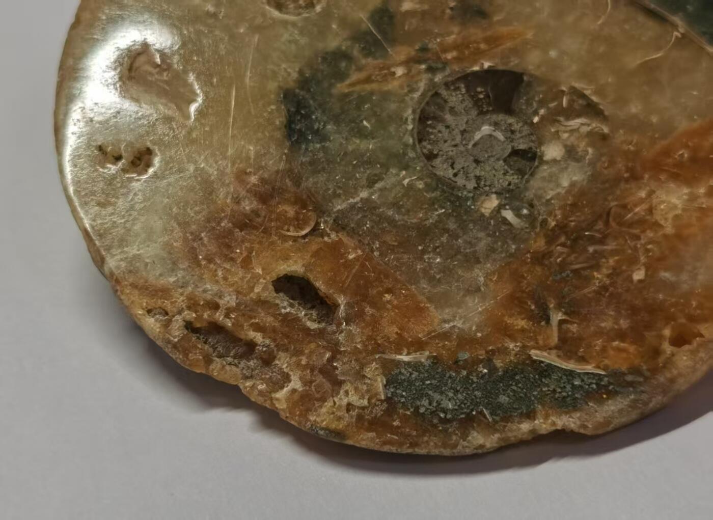 七河·藏家水晶矿标化石小拍（总第41期） 藏家出品 X770（4）比较大块头的 马达加斯加中生代菊石化石切片一件 