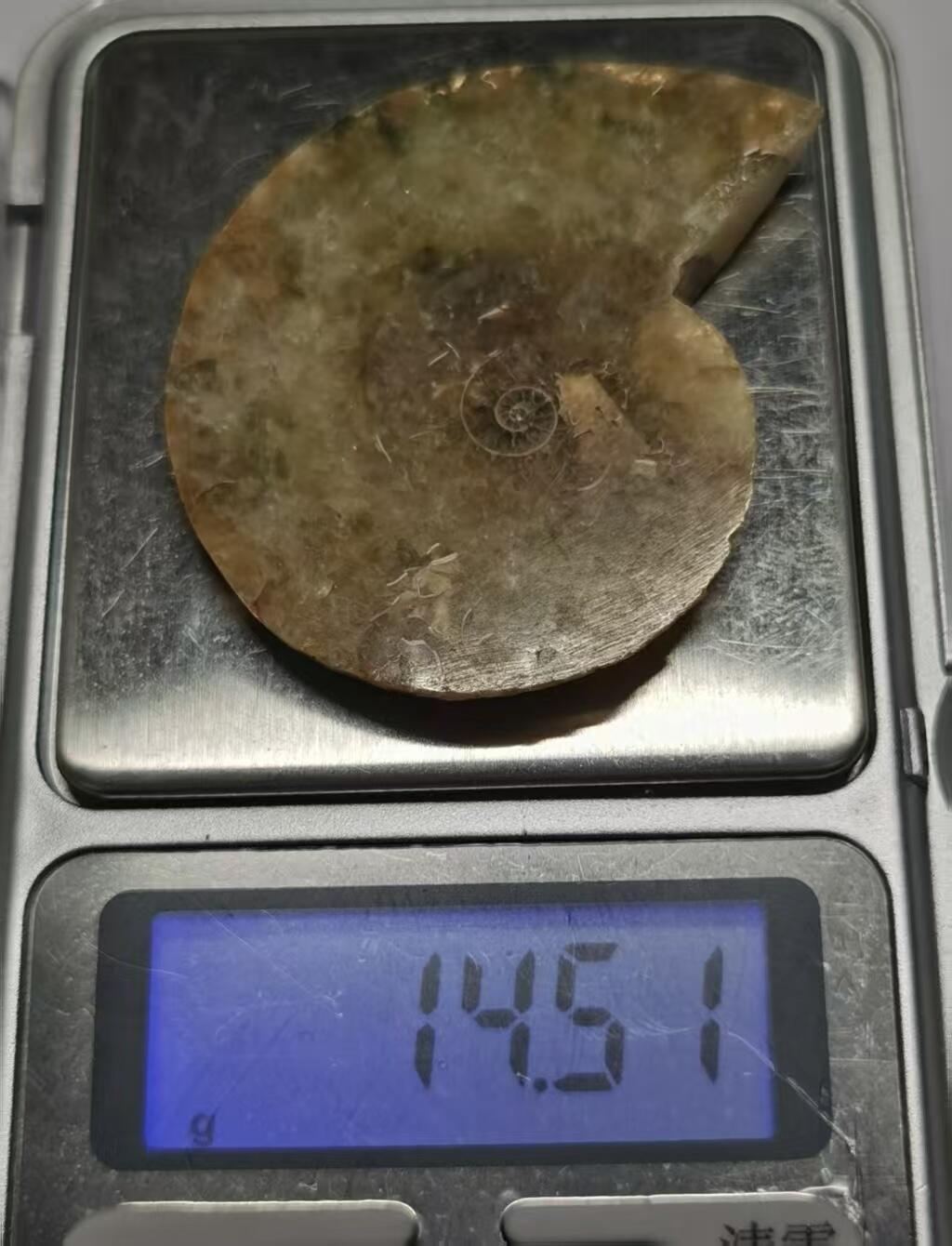 七河·藏家水晶矿标化石小拍（总第41期）