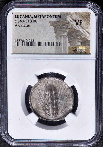 【俄甄集藏】2026年(049)03-18星期三 晚 19:30 全场包邮 - 古希腊卢卡尼亚地区梅塔蓬城公元前540年-前510年1斯塔特最早期古风大麦银币，NGC VF，罕见的公元前六世纪最早期版，正面一株大麦穗，右侧币文为地名梅塔蓬城，背面内凹大麦穗图案，打制清晰，难得