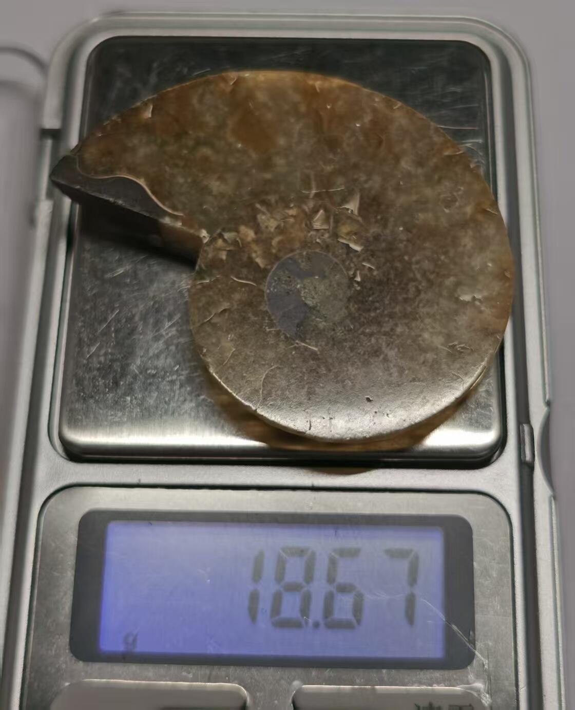 七河·藏家水晶矿标化石小拍（总第41期）