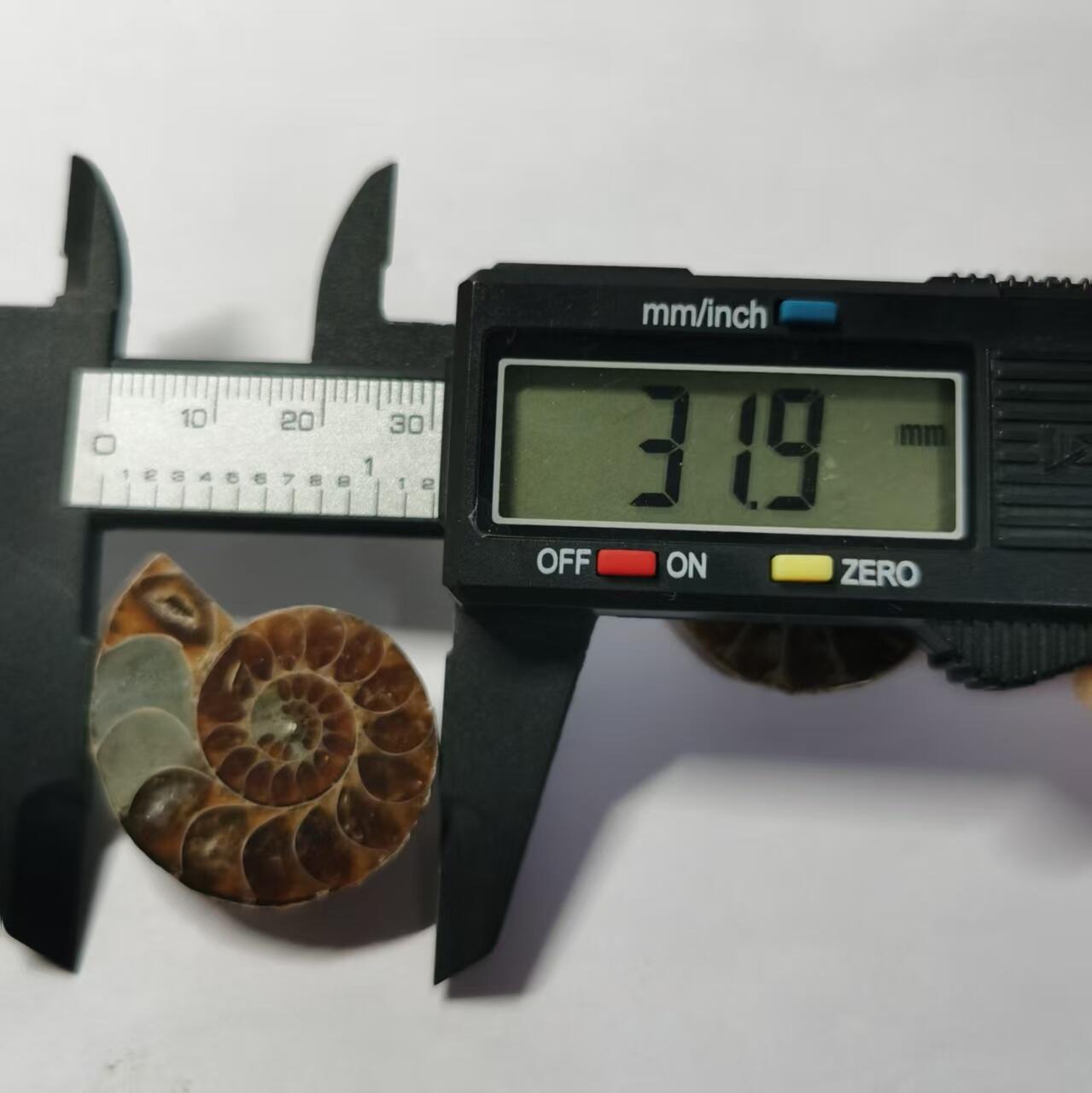 七河·藏家水晶矿标化石小拍（总第41期） 藏家出品X776（12）漂亮光泽！马达加斯加中生代菊石化石对开品 