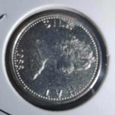 沼泽如烟--第1018场 - 1988年代币