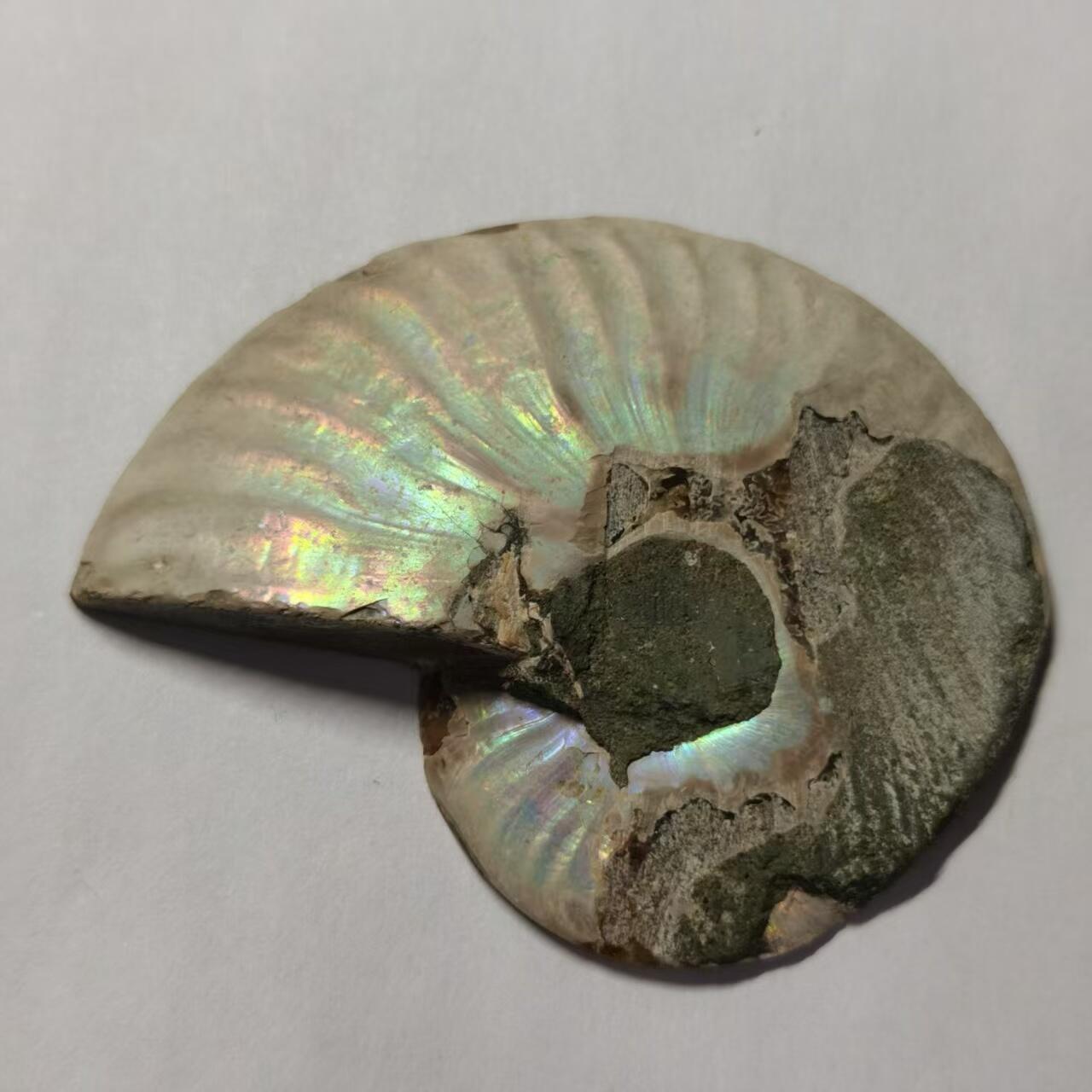 七河·藏家水晶矿标化石小拍（总第41期）