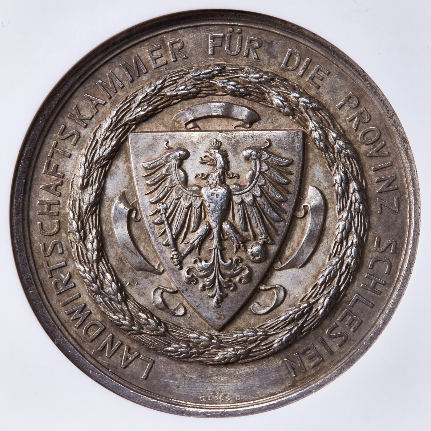 【俄甄集藏】2026年(049)03-18星期三 晚 19:30 全场包邮 德国19世纪普鲁士西里西亚省农业表彰大银章，NGC UNCD，黄油彩老包浆，设计精美，直径42mm，少见品种