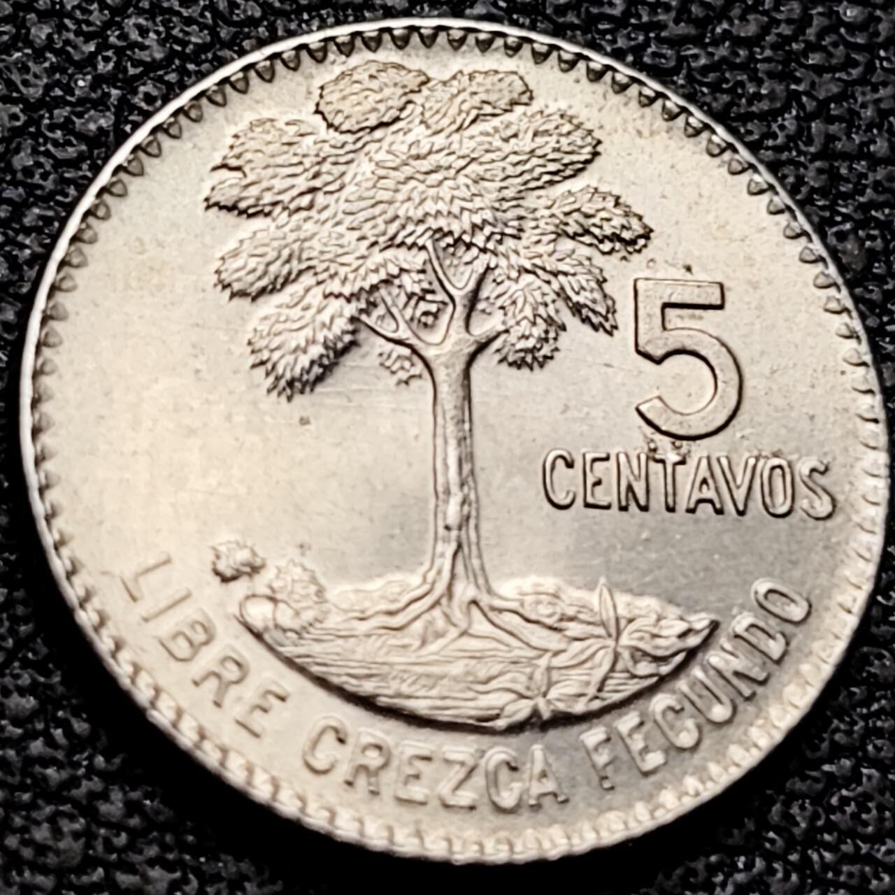 泉币菌-第207场-拍品多 请提前出价 。