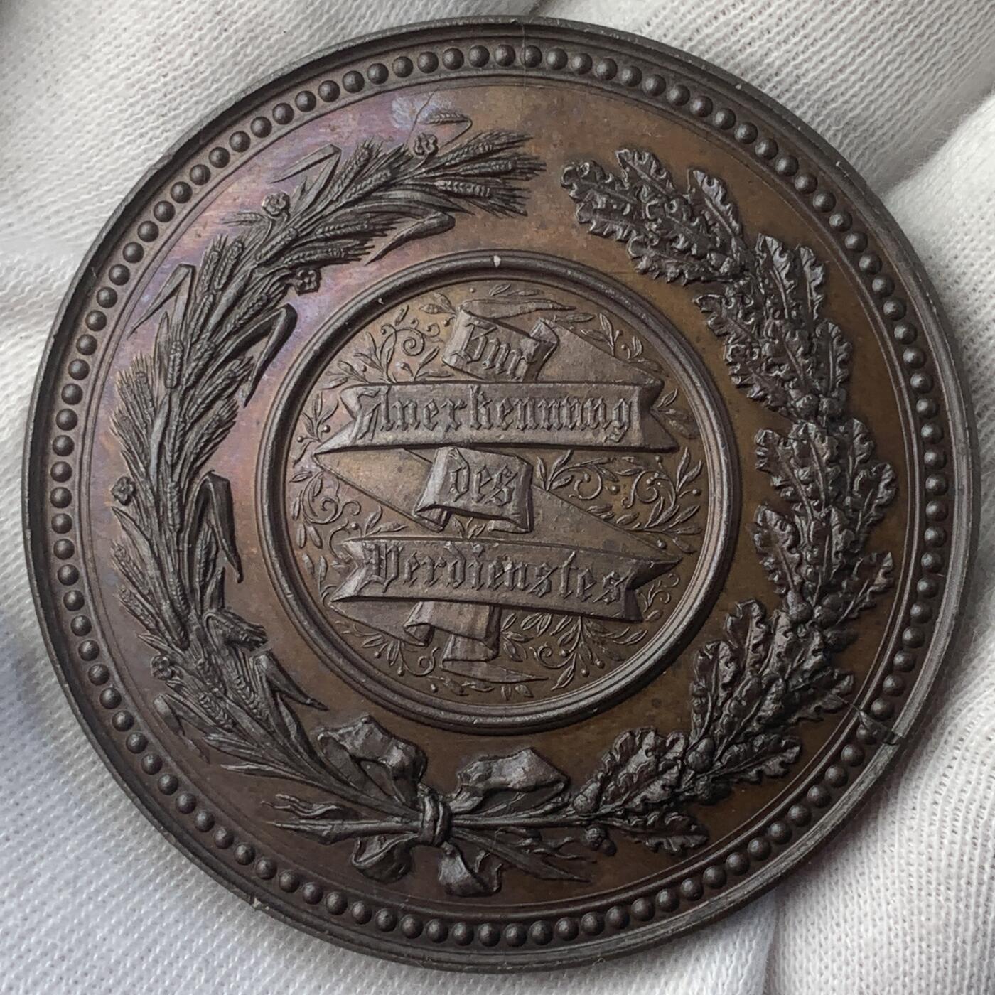 掌中浮雕-藏着的欧洲第054场 十九世纪奥匈帝国格拉茨农业博览会铜章，Jauner作品，50mm