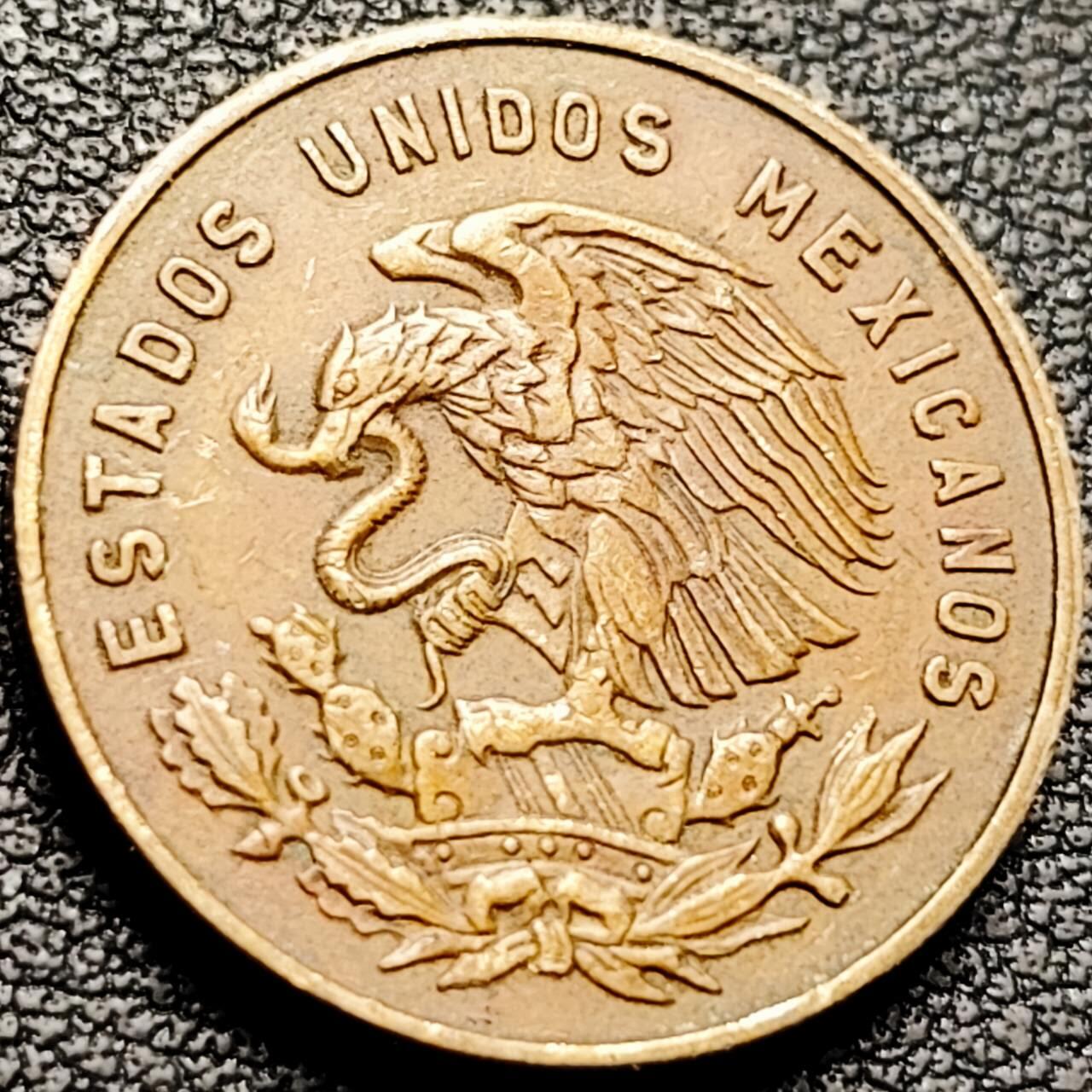 泉币菌-第207场-拍品多 请提前出价 。