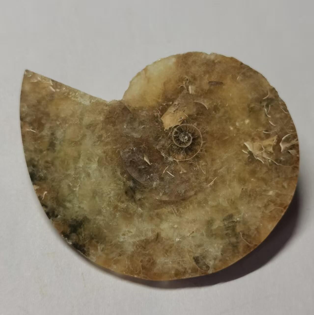 七河·藏家水晶矿标化石小拍（总第41期）