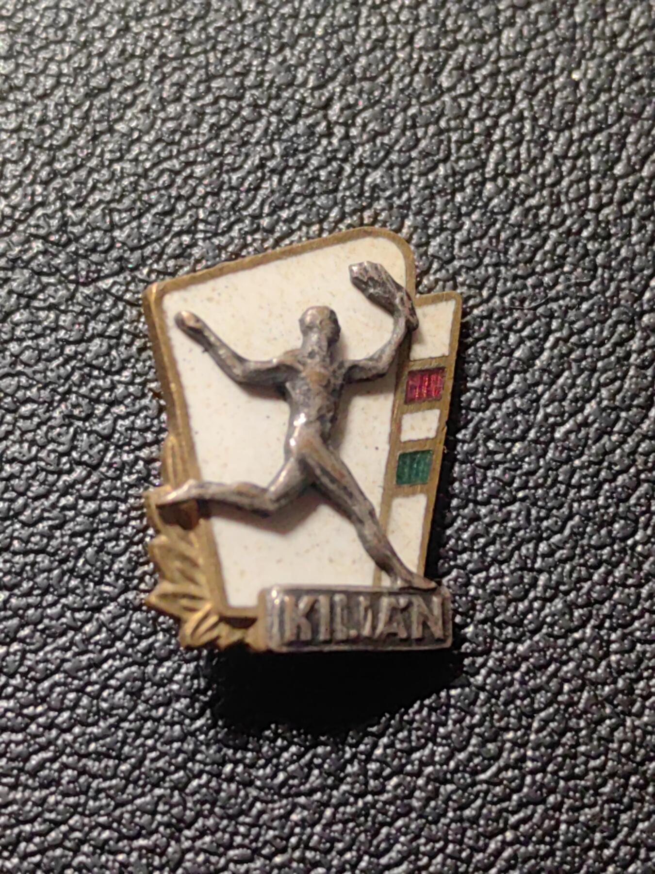 靖甫拍卖第六场 匈牙利体育卫国证章 带号版