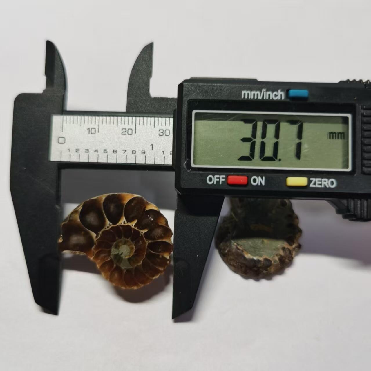 七河·藏家水晶矿标化石小拍（总第41期）