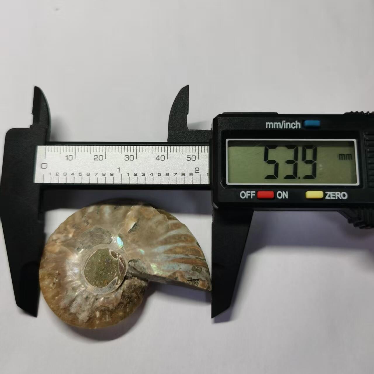 七河·藏家水晶矿标化石小拍（总第41期）