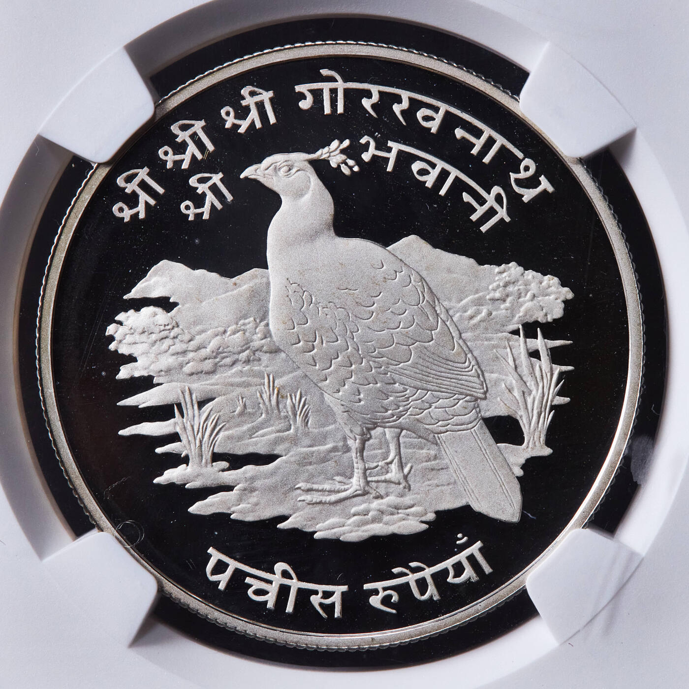 【俄甄集藏】2026年(049)03-18星期三 晚 19:30 全场包邮 尼泊尔1974年野生动物保护系列-棕尾虹雉25卢布精制大银币，NGC PF69UC，重28.28克，925银。发行量7500枚，盒体有小磕损，见详图