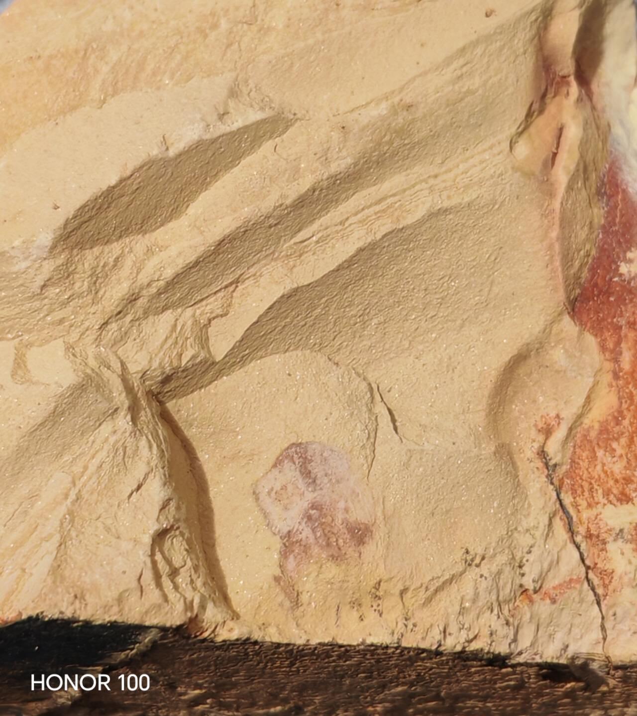 杂件，不寄存  曳鳃动物化石  保存难度大完整稀少 是一类古老的蠕形动物寒武纪，在马龙动。