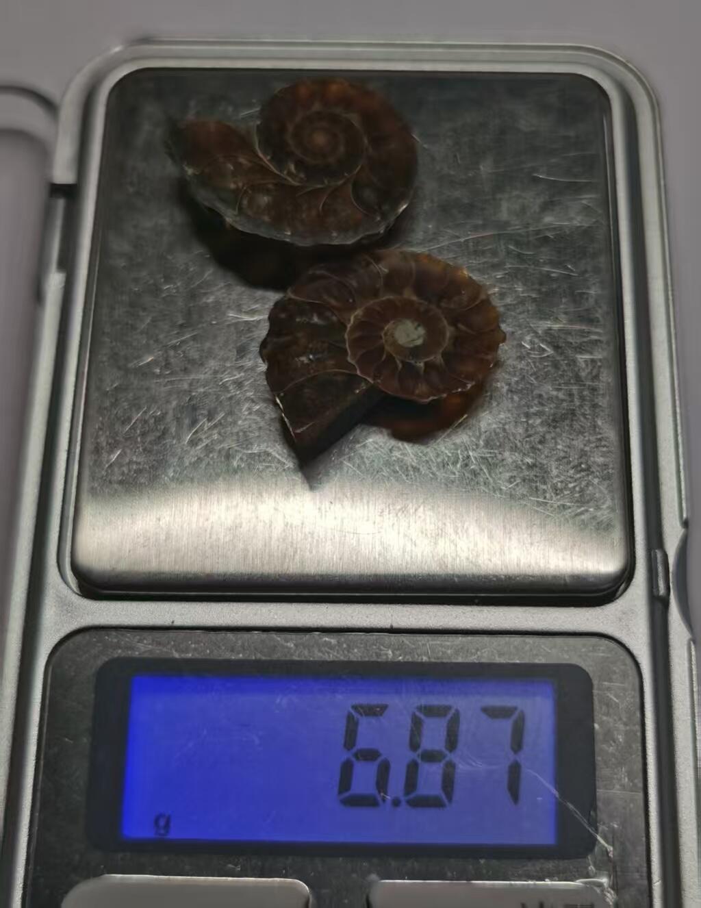 七河·藏家水晶矿标化石小拍（总第41期）