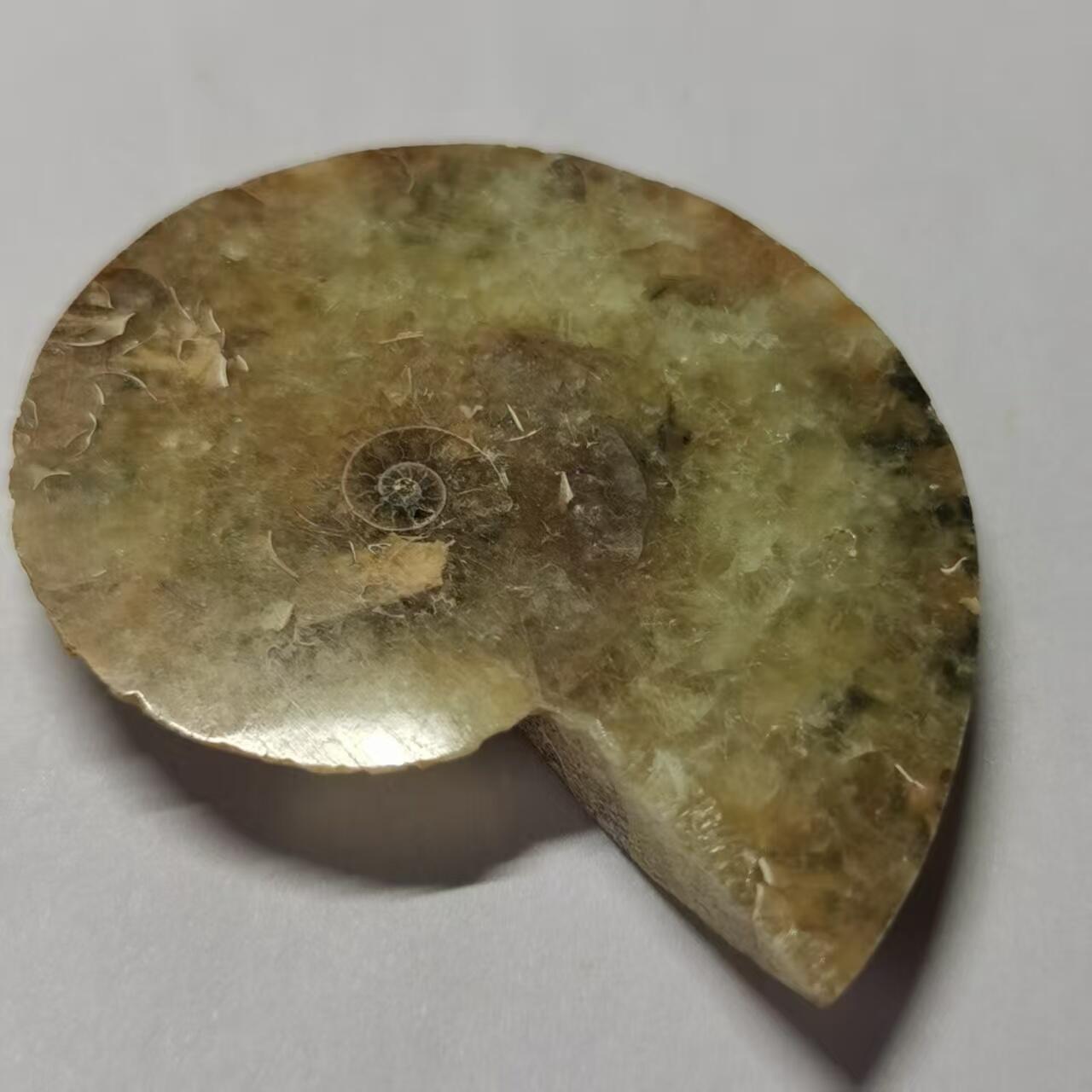 七河·藏家水晶矿标化石小拍（总第41期）