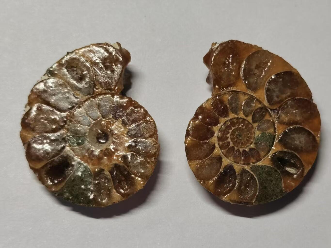 七河·藏家水晶矿标化石小拍（总第41期）