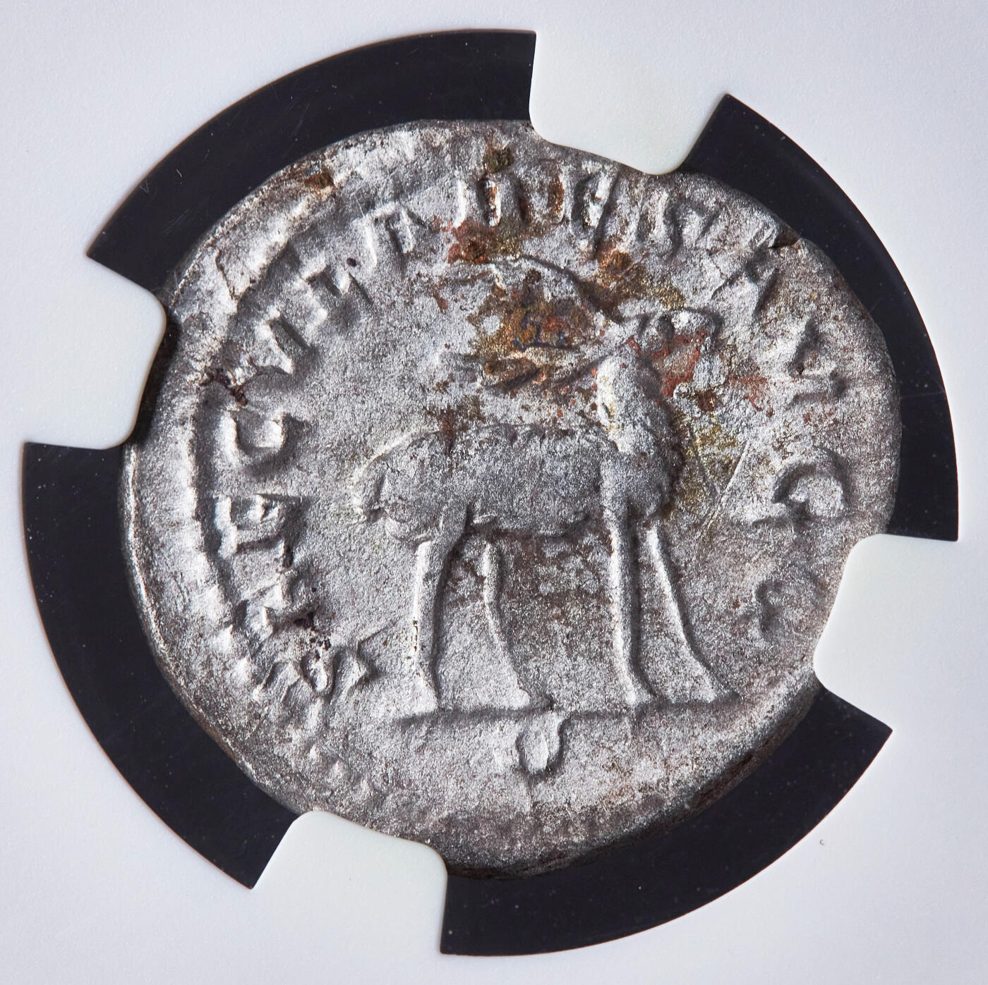 【俄甄集藏】2026年(049)03-18星期三 晚 19:30 全场包邮 古罗马帝国公元248年菲利普一世纪念罗马城建城1000年双第纳尔雄鹿银币，NGC ChXF (Str 5/5, Sur 3/5)，正面菲利普桂冠头像，币文：最高统帅，菲利普·奥古斯都；背面背面雄鹿全身像，币文：百年大典，奥古斯都们