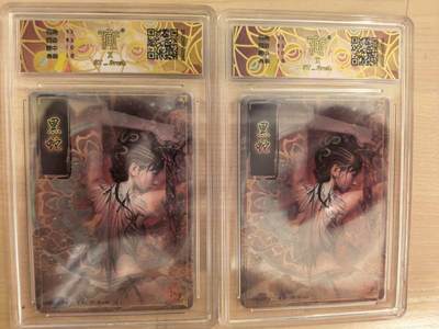 阳大大卡牌拍卖第104期（持续收拍品，周五晚上九点截拍，进群福利早知道） 【双服饰】焱卡文化 刷子 黑蛇 幻彩折光双服饰