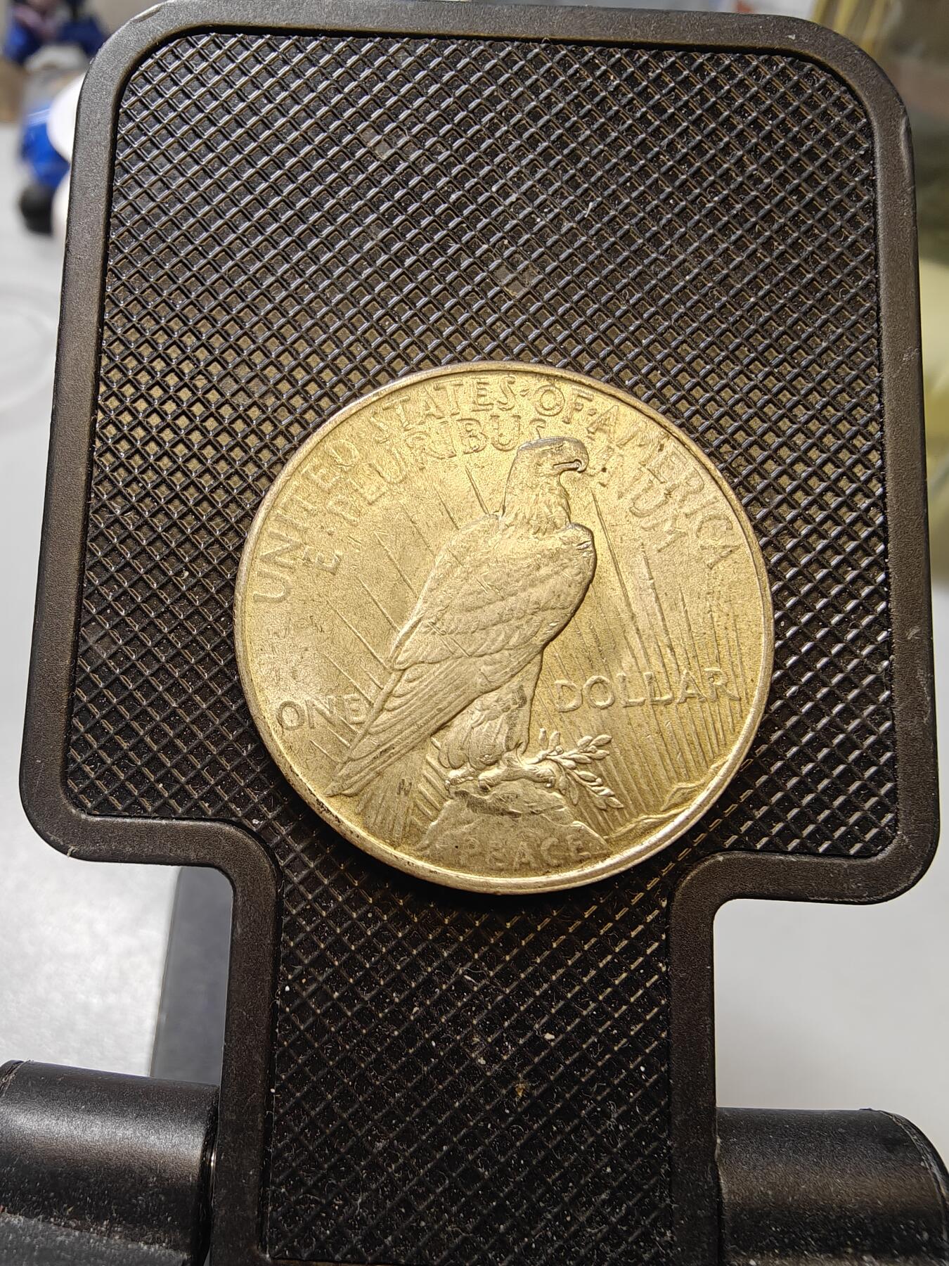 MS极品黄油转光和平鸽银币