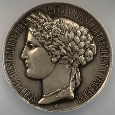 掌中浮雕-藏着的欧洲第054场 - NGC MS63 : 1895年瑞士林业与渔业博览会银章，50mm