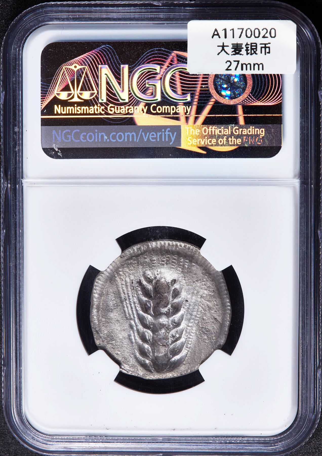 【俄甄集藏】2026年(049)03-18星期三 晚 19:30 全场包邮 古希腊卢卡尼亚地区梅塔蓬城公元前540年-前510年1斯塔特最早期古风大麦银币，NGC VF，罕见的公元前六世纪最早期版，正面一株大麦穗，右侧币文为地名梅塔蓬城，背面内凹大麦穗图案，打制清晰，难得