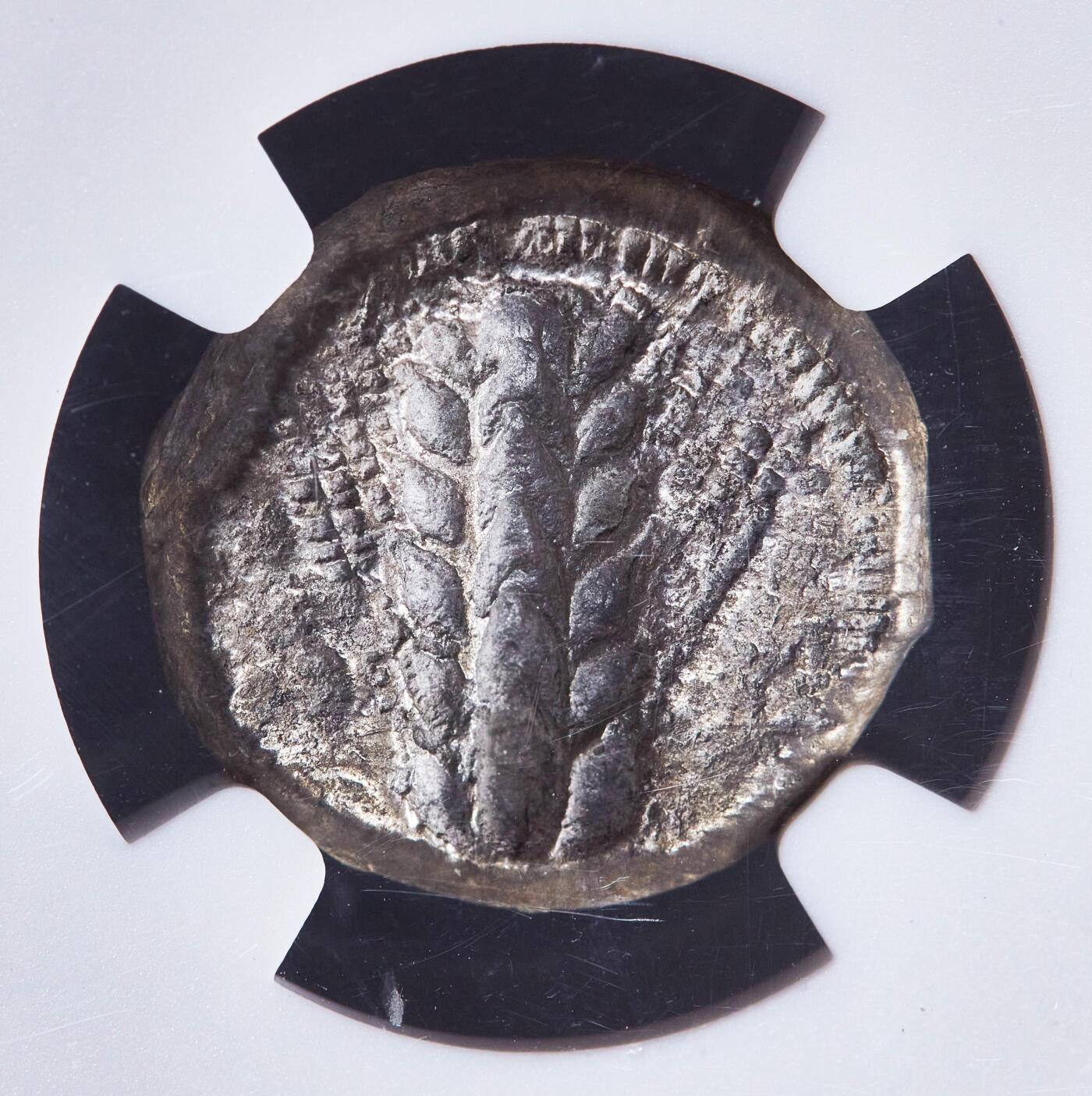 【俄甄集藏】2026年(049)03-18星期三 晚 19:30 全场包邮 古希腊卢卡尼亚地区梅塔蓬城公元前470-前440年1斯塔特大麦麦穗公羊首银币，NGC ChVF，正面一株大麦穗，左侧币文为地名梅塔蓬城，右侧羊首，背面内凹大麦穗图案，大正清晰，底光犹存