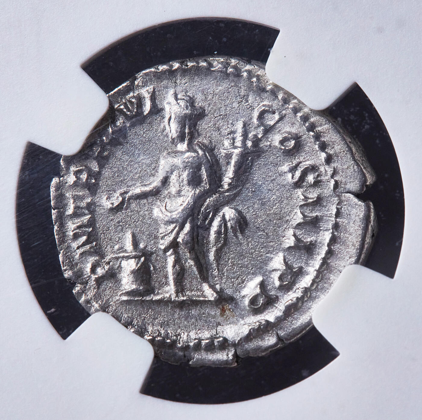 【俄甄集藏】2026年(049)03-18星期三 晚 19:30 全场包邮