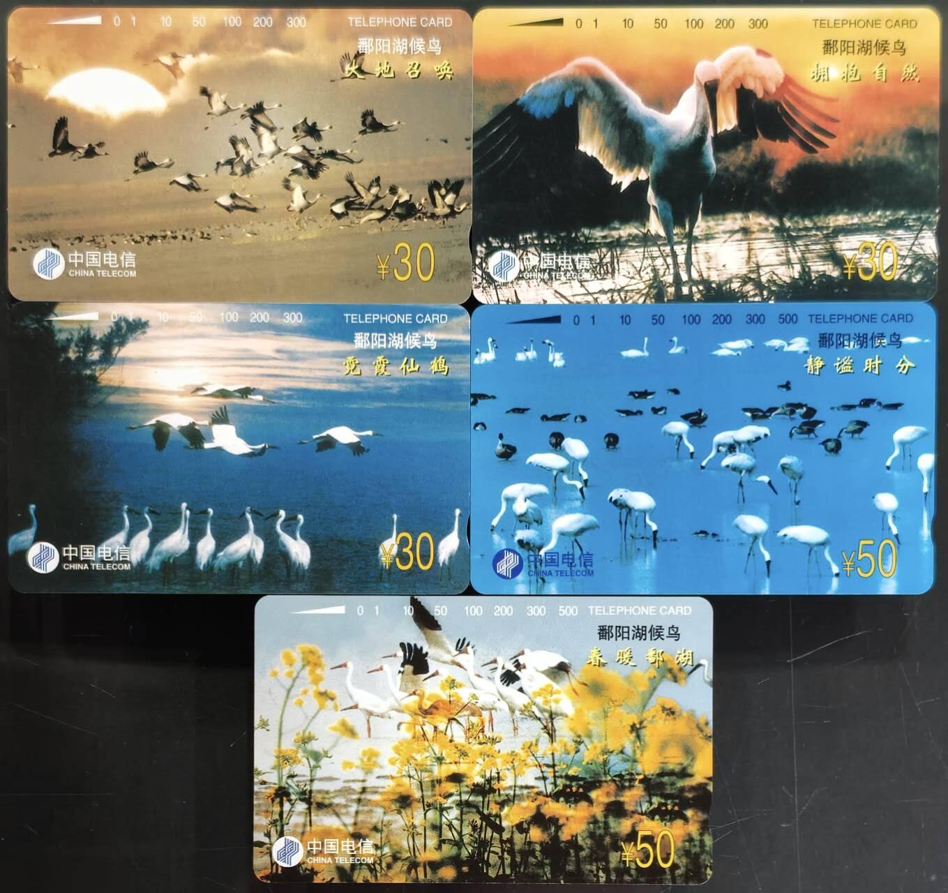 公藏第62期裸卡拍卖