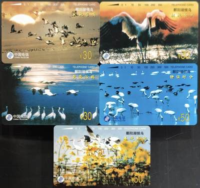 公藏第62期裸卡拍卖 - 通用田村卡（CNT-51  鄱阳湖候鸟）5全品相钢印码见描述。