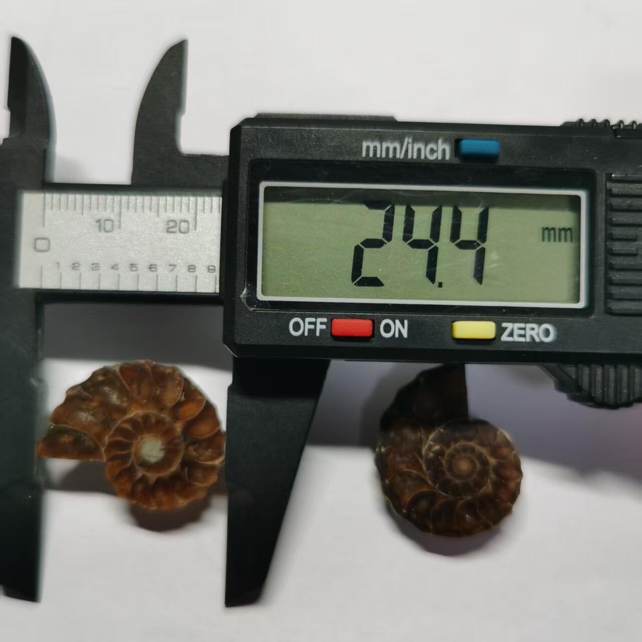 七河·藏家水晶矿标化石小拍（总第41期）