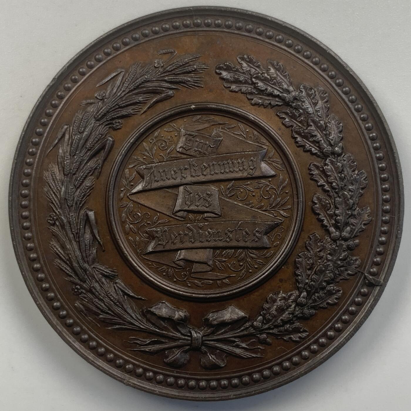 掌中浮雕-藏着的欧洲第054场 十九世纪奥匈帝国格拉茨农业博览会铜章，Jauner作品，50mm