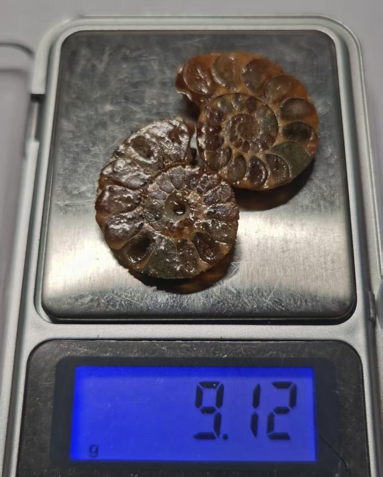 七河·藏家水晶矿标化石小拍（总第41期）