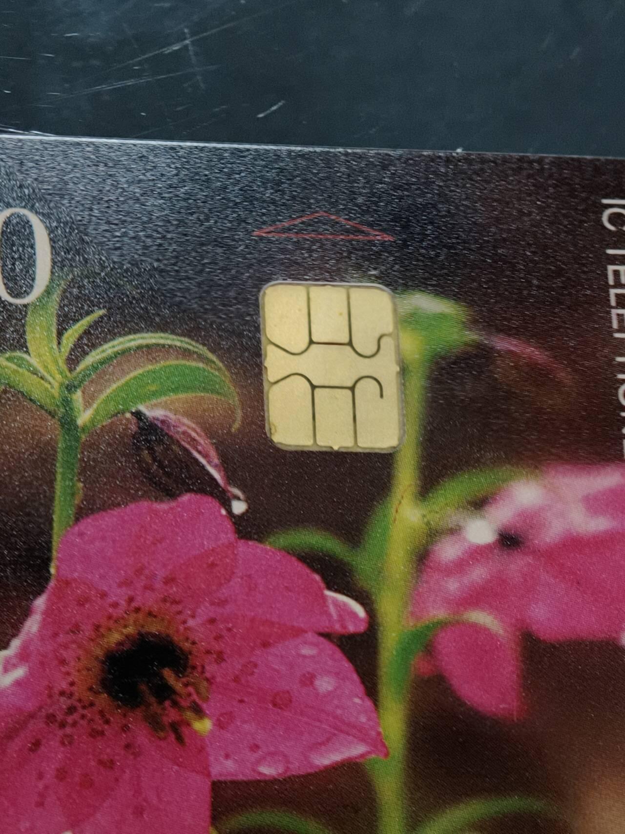 公藏第62期裸卡拍卖 电信IC新卡（各种散卡）7枚广东版合拍。芯片基本上光亮。其中二枚花卡有小小细划。