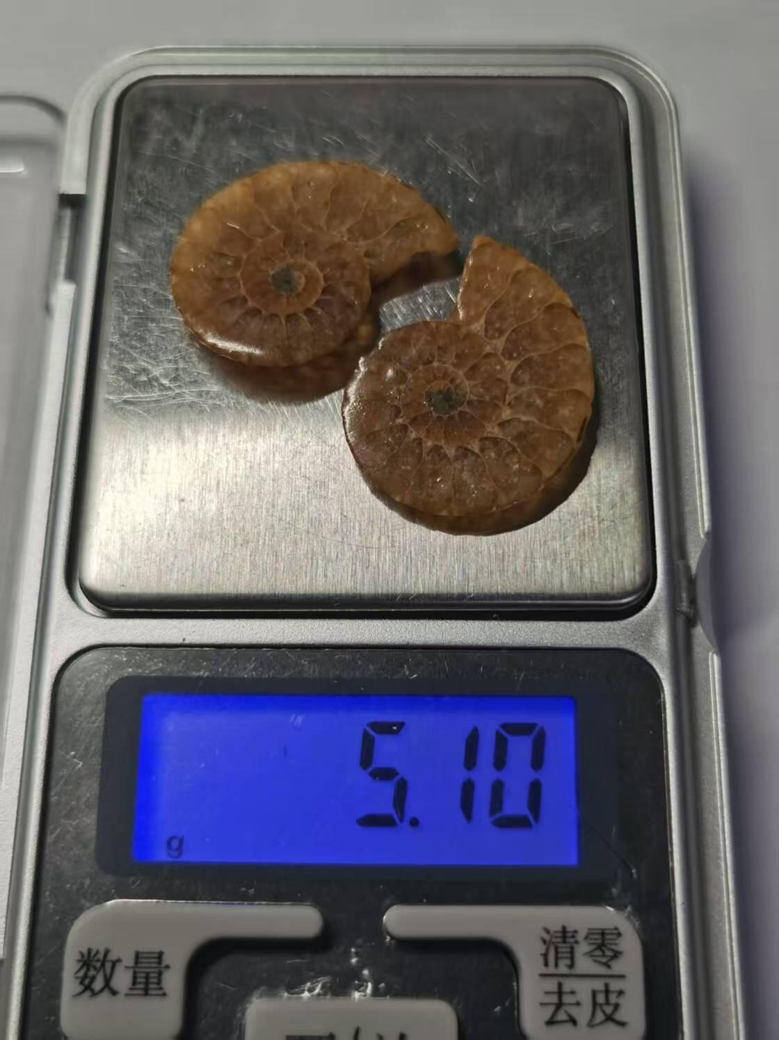 七河·藏家水晶矿标化石小拍（总第41期）