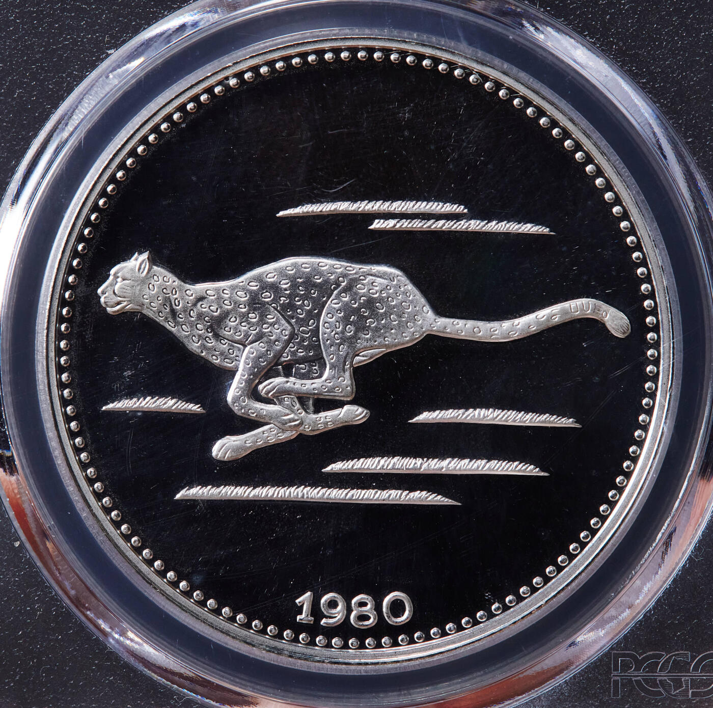 【俄甄集藏】2026年(049)03-18星期三 晚 19:30 全场包邮 赤道几内亚1980年野生动物-非洲猎豹2000依库雷精制大银币，PCGS PR68DC，重31克，927银，发行1000枚，稀有