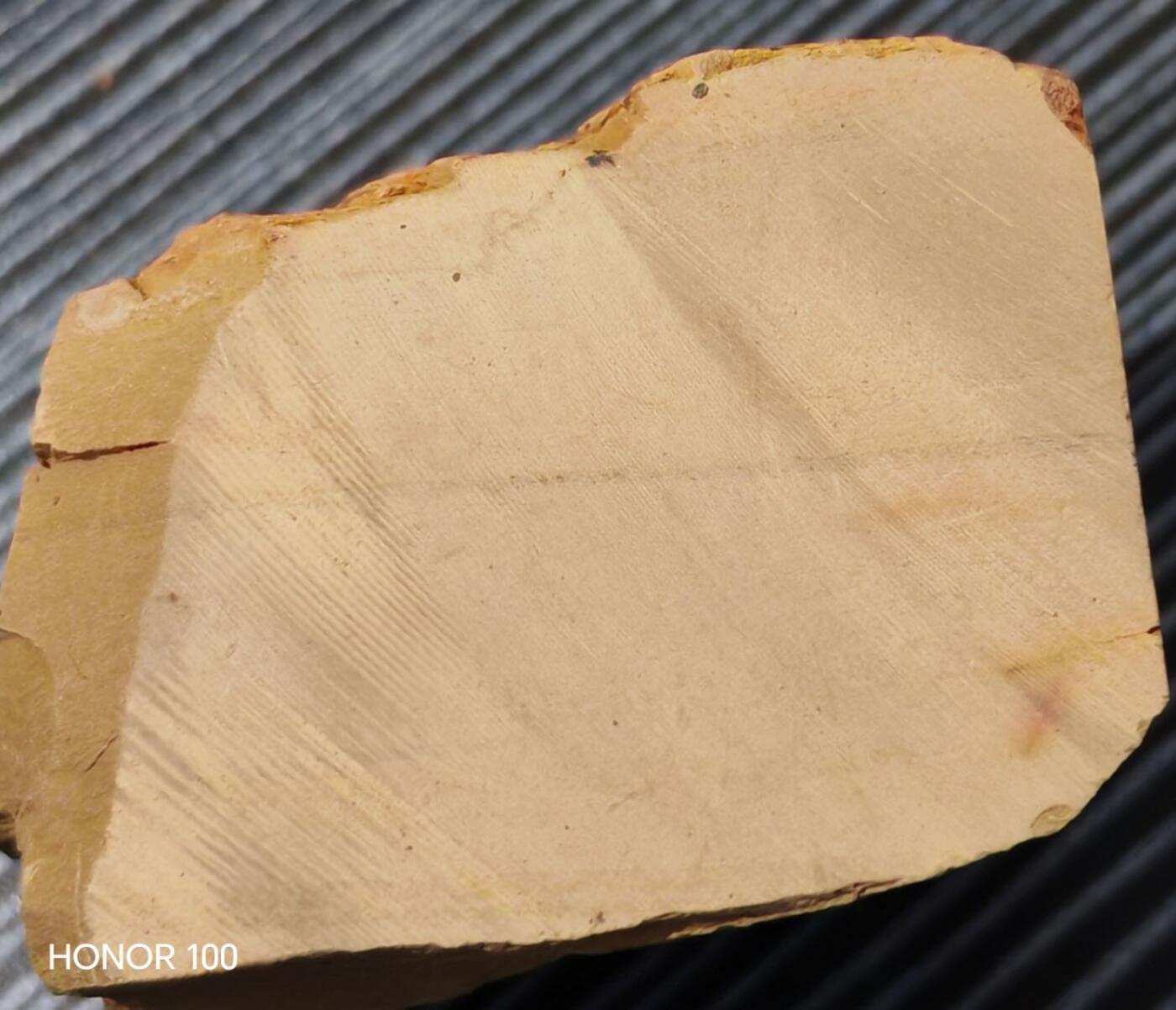 杂件，不寄存  曳鳃动物化石  保存难度大完整稀少 是一类古老的蠕形动物寒武纪，在马龙动。