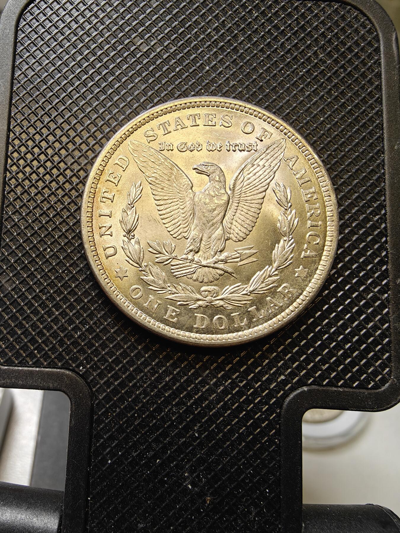 转光底板MS收藏级摩根银币