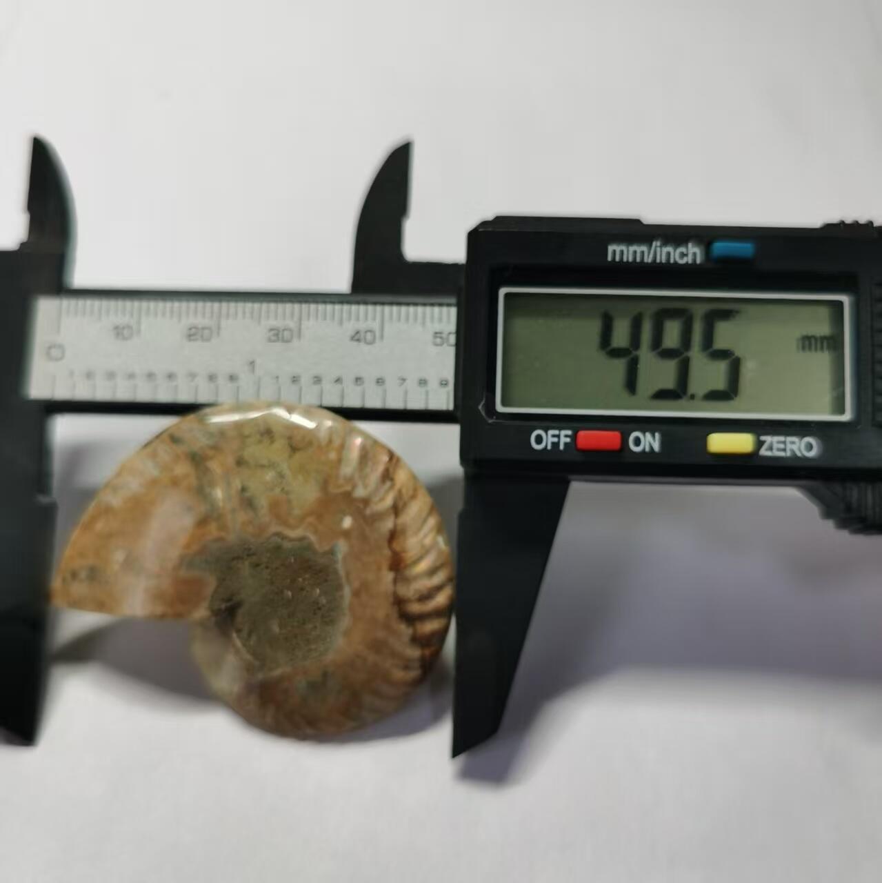 七河·藏家水晶矿标化石小拍（总第41期）