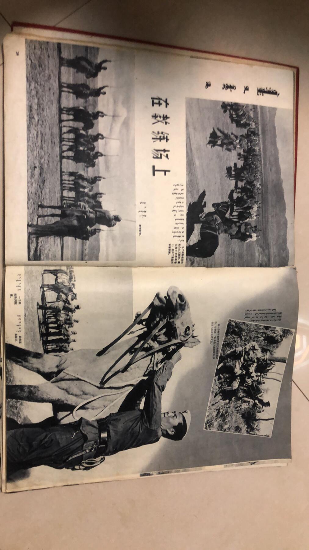 稀有国庆十周年发的骑兵画册
