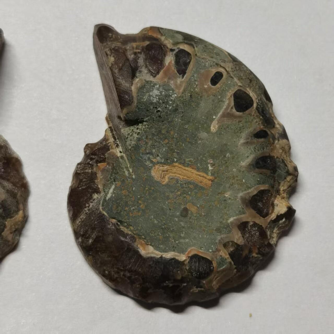 七河·藏家水晶矿标化石小拍（总第41期）